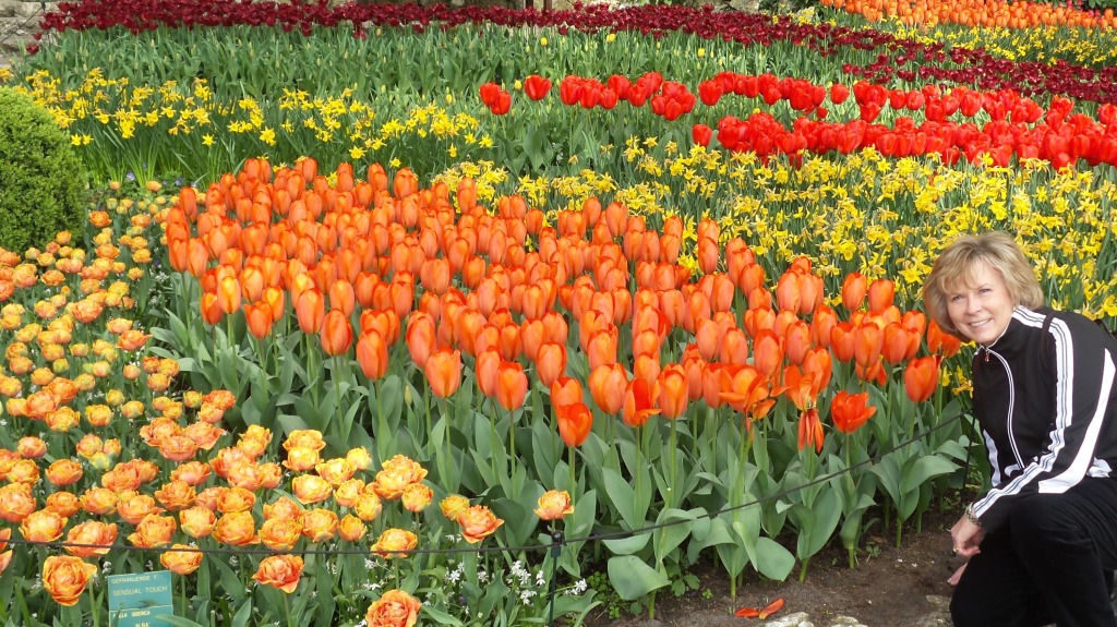 2014-04-17 Holland Tulips 04.jpg
